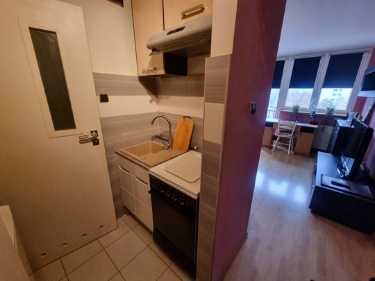 Kawalerka w centrum przy Galaxy, wynajem !!! - Zdjęcie 1