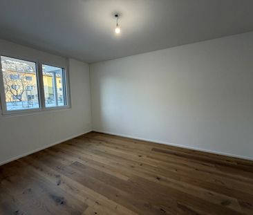 3.5 Zimmer, EG - Photo 2