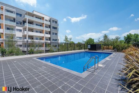 Simple Living in the Center of Molonglo - Photo 2