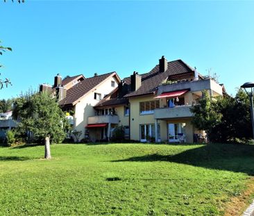 3.5 Zimmer, 71 m², EG - Photo 6