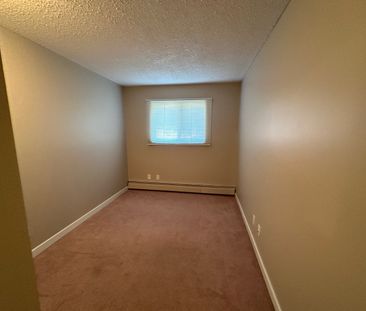 Spacious 2 Bedroom Cat Friendly Suite in Clearview! - Photo 5