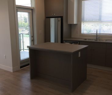 CINEMA APTS - 313B - C313B - Photo 3