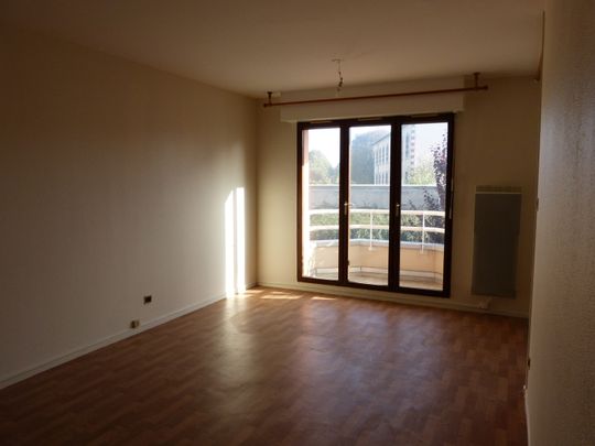 Location Appartement 2 pièces VANDOEUVRE LES NANCY 54500 - Photo 1