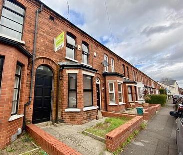 33 St Albans Gardens, Belfast, BT9 5DR - Photo 6