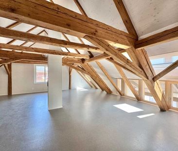 5.5 Zimmer, 230 m² - Foto 3