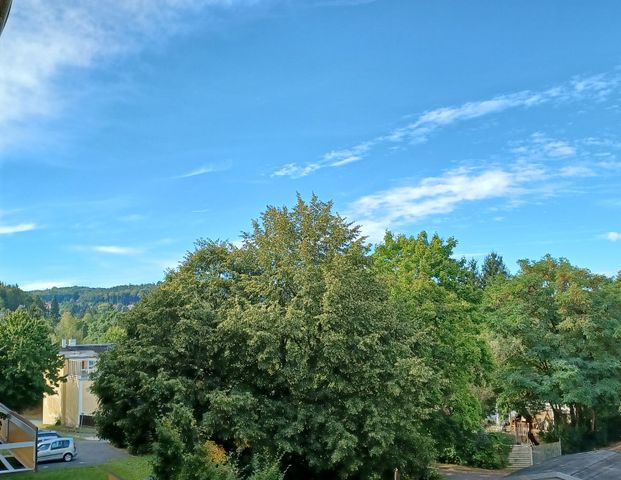 1 Raum Wohnung für Senioren mit Einbauküche und Anschluss an die Begegnungsstätte im Haus - Foto 1