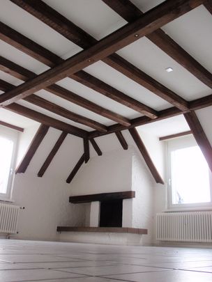 Appartement à louer, Herisauer Str. 88, 9015 Saint-Gall, Suisse, à Saint-Gall, Suisse - Photo 1