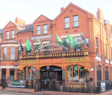 Great Location, 41a Agincourt Avenue, Queens Quarter, Belfast, BT7 1QA - Photo 6