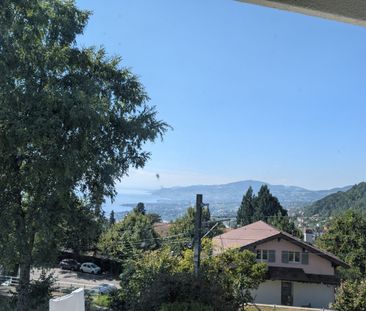 Appartement de 4.5 pièces au rez-de-chaussée, entièrement rénové - Photo 5