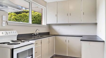 Sunny Two bedroom – Great Location! - Photo 4