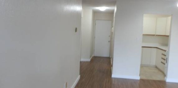 FERNWOOD – 2 bdm, 3rd floor, 808 sf renovated - Photo 2