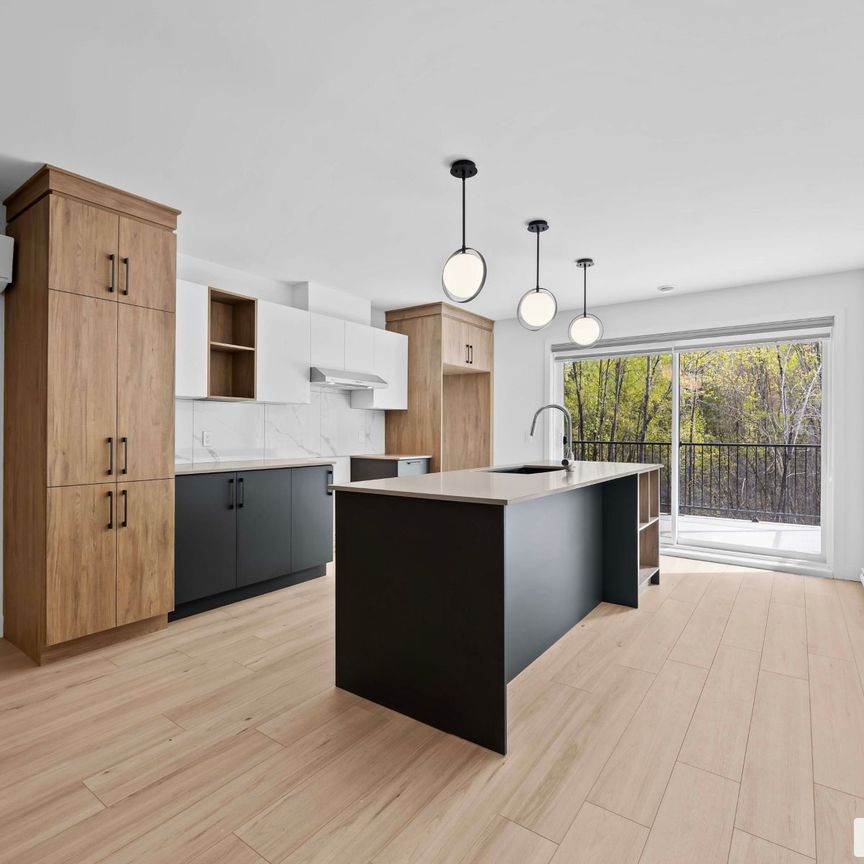 1690 rue des Quatre-Saisons, Sherbrooke (Fleurimont) à louer - Photo 1