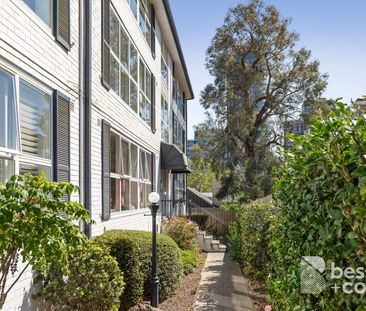 5/17 Rockley Road, South Yarra VIC 3141 - Apartment For Rent | Domain - Photo 2