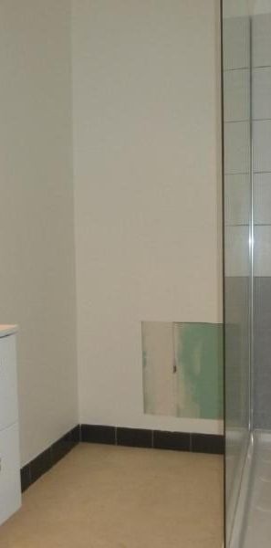 Location Appartement 2 pièces 49m² GRENOBLE 38100 - Photo 1