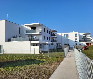 3-Zimmer-Wohnung mit Balkon, Top 27 - Photo 5