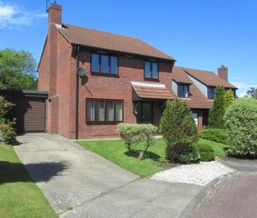 4 bedroom detached house to rent - Photo 3