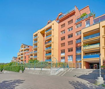 Traumwohnung am Stadt- sowie Waldrand! - Photo 5