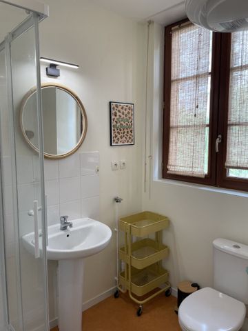 Location Appartement 1 pièce 15m² RENNES 35000 - Photo 3