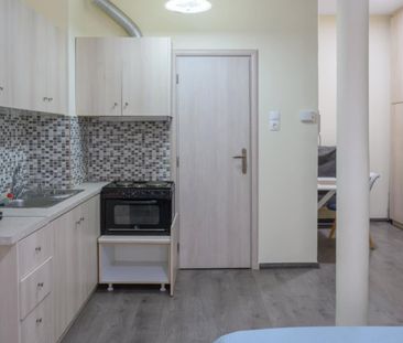 Ενοικίαση κατοικίας, 24 τ.μ., Αθήνα, 800 € - Photo 5