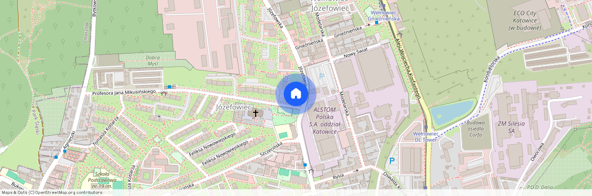 ul. prof. Jana Mikusińskiego, Katowice