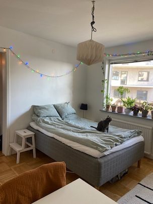 Ljunglidsgatan, Borås - Foto 1