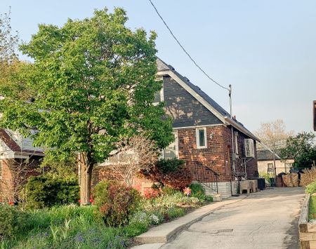 For Lease - 75 Binswood Avenue Unit# Basement, Toronto, Ontario - Photo 3