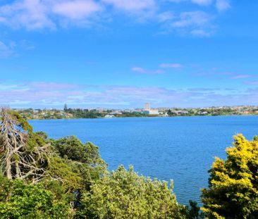 LAKE VIEWS - TAKAPUNA - Photo 1