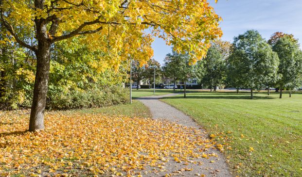 Ekebyvägen 19, 75263, Uppsala - Photo 1