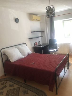 Tineretului timpuri noi vacaresti piscului - Photo 1