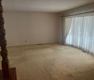 Huge Lot! Well Maintained 4 Bdrms 2.5 Bath House in Willow Park! - Photo 1