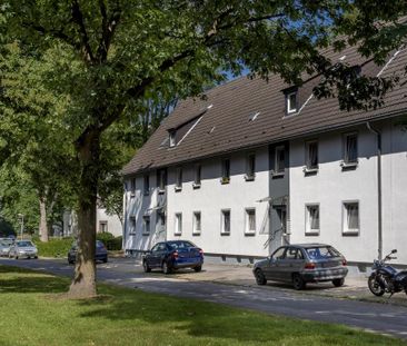 3-Zimmer-Wohnung in Gelsenkirchen-Resser Mark mieten - Photo 2