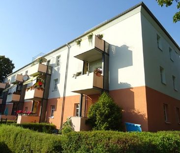 Sonnig, ruhig, gut geschnitten: 3-Zi.-Whg. mit Südbalkon in Reick - Photo 1