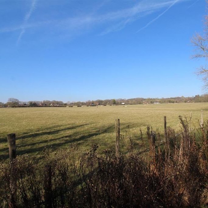1 bedroom detached bungalow to rent - Photo 1