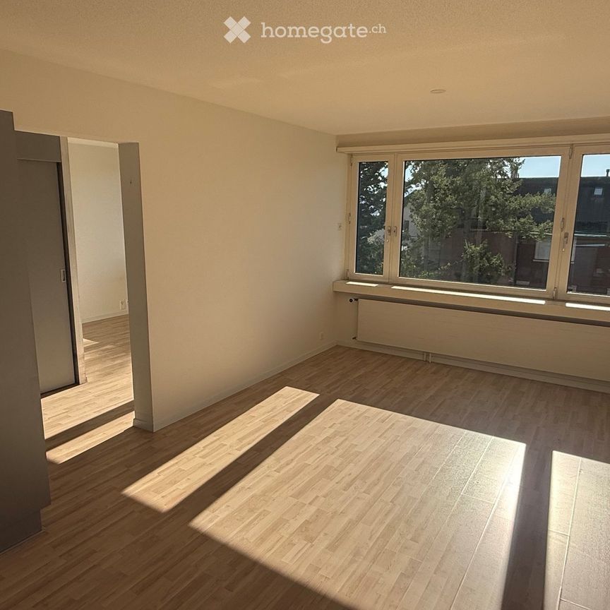 Suchen Nachmieter/in / Freundliche, helle Alterswohnung am Zürichberg - Photo 1