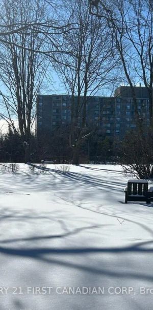 222 TROTT DRIVE - Photo 2