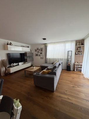 3.5 Zimmer, 125 m², EG - Foto 1
