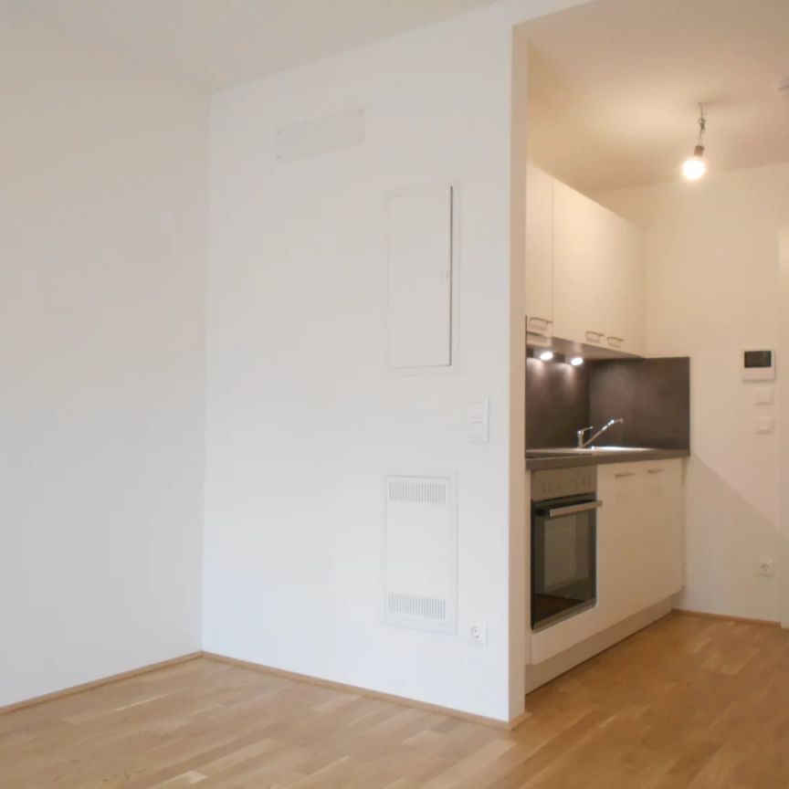 Q5 am PARK nette 2ZI mit Balkon, ruhige Innenhoflage - Foto 1