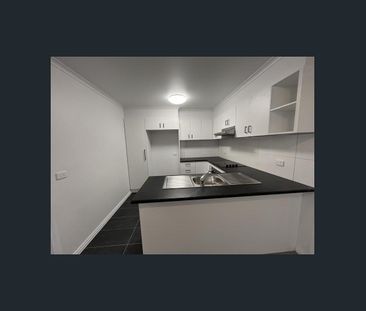 Newly Renovated Delight - Photo 5