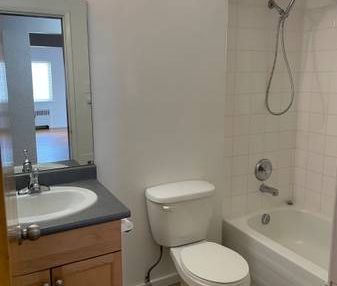 1 BEDROOM - Mar 1 - PET FRIENDLY- BURNABY - Photo 3