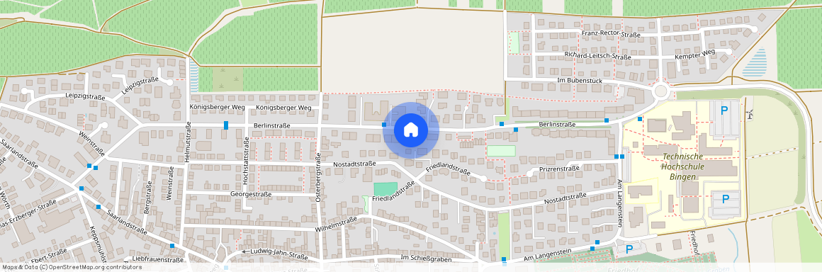 Berlinstr. 57, 55411, Bingen Ot Büdesheim