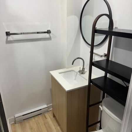 5½ à louer — Hochelaga-Maisonneuve, 10 min de marche du métro Préfontaine — 2 195$/mois, tous animaux acceptés - Photo 3