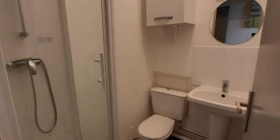 Location Appartement 1 pièce 15m² TOURS 37200 - Photo 3