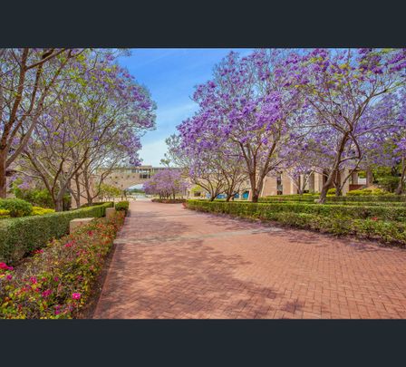 3 Main Street, Varsity Lakes, Qld 4227 - Photo 1