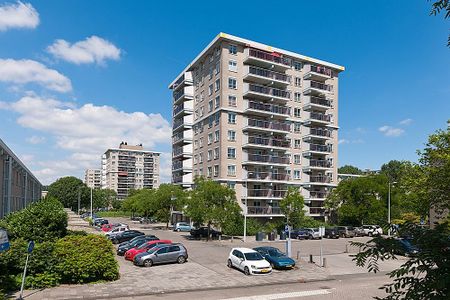 Hogewerf 213 - Foto 5