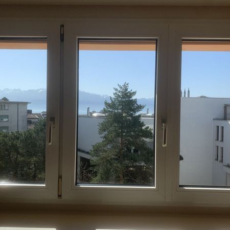 Charming studio located in Montchoisi 9 in Lausanne - Photo 4