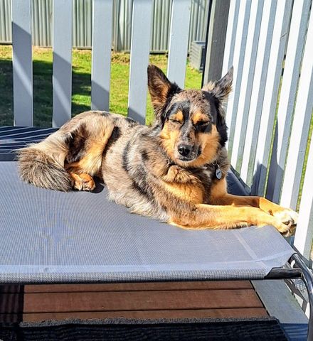 Kippa-ring - Photo 4