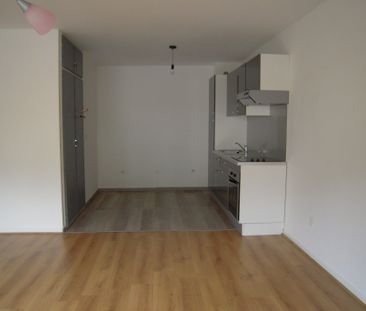 Location Appartement 1 pièce 42m² ST AVOLD 57500 - Photo 5