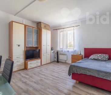 Pronájem bytu 1+kk a garsoniéry 18 m² - Fotografie 1