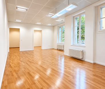 SURFACE COMMERCIALE DE 124M2 AU COEUR DE LA RUE BEAU SEJOUR - Photo 6