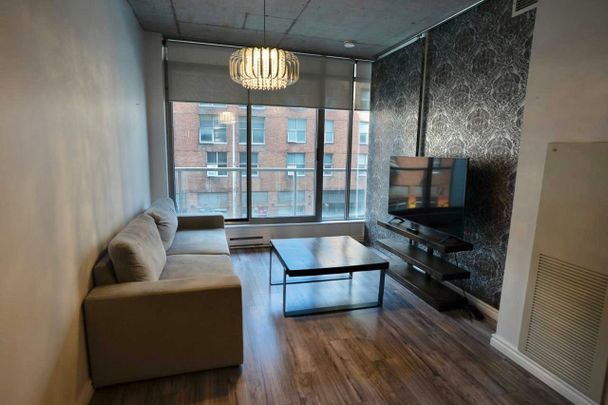 For Lease - 383 Cumberland Street Unit# 311, Lower Town - Sandy Hill, Ontario - Photo 1